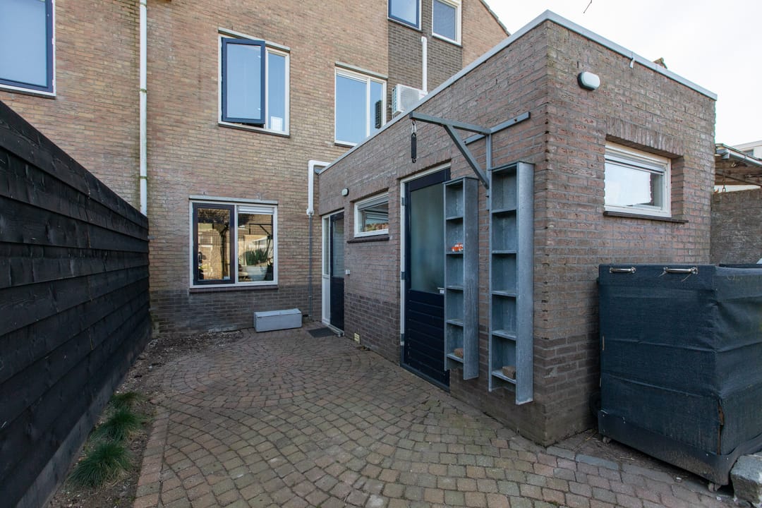 Foto 38 van Golden Delicious 105