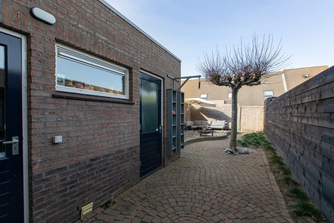 Foto 41 van Golden Delicious 105