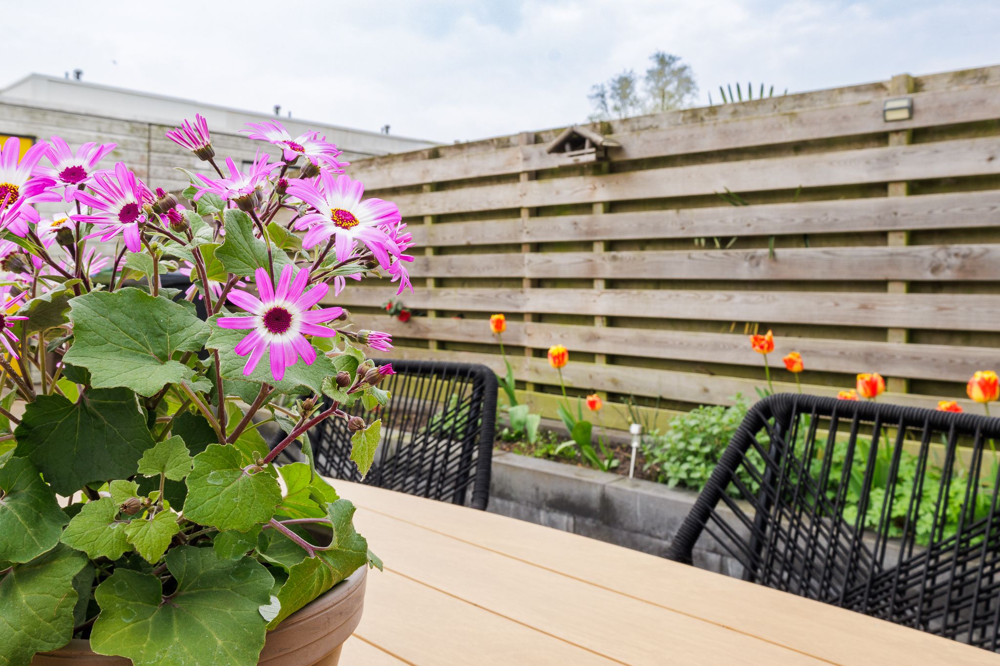 Photo 24 of Sloep 227