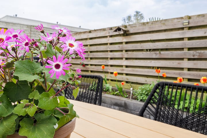 Foto 24 van Sloep 227