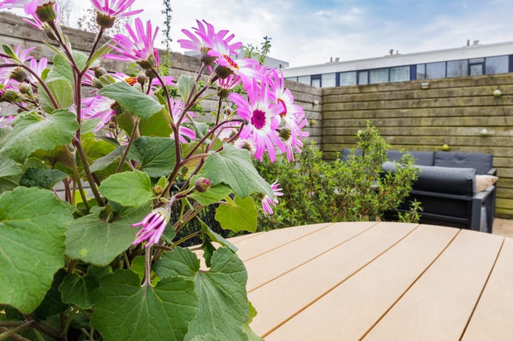 Foto 25 van Sloep 227