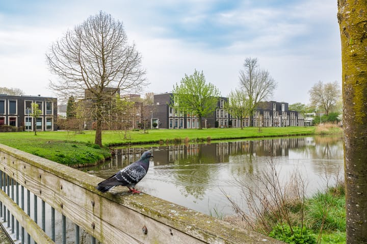 Foto 64 van Sloep 227