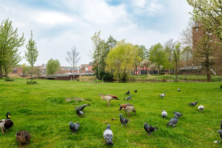 Foto 65 van Sloep 227