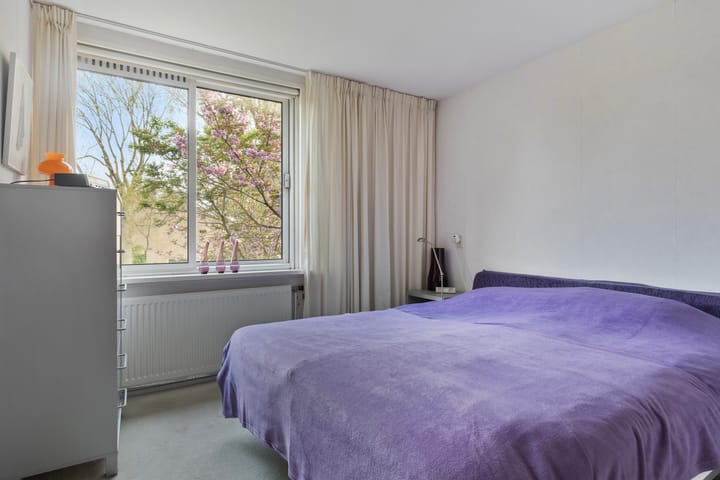 Foto 13 van Salamanderveen 341