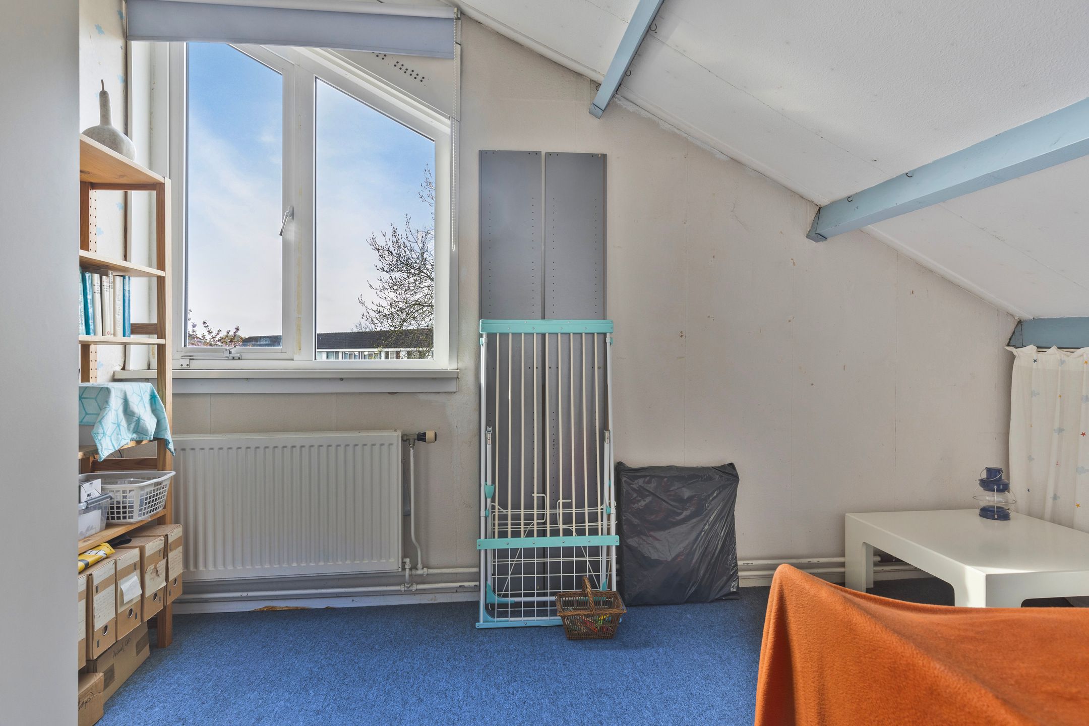 Foto 21 van Salamanderveen 341