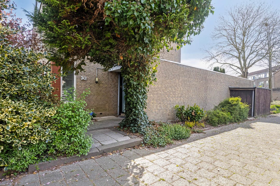 Foto 22 van Salamanderveen 341