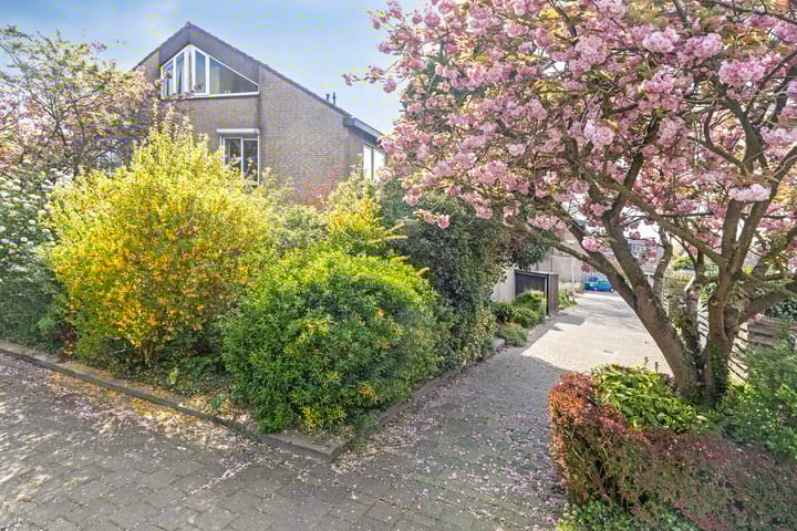 Foto 25 van Salamanderveen 341