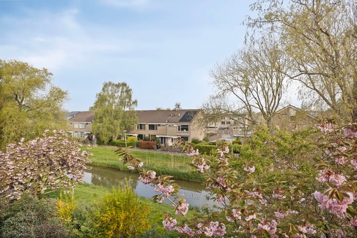 Foto 28 van Salamanderveen 341