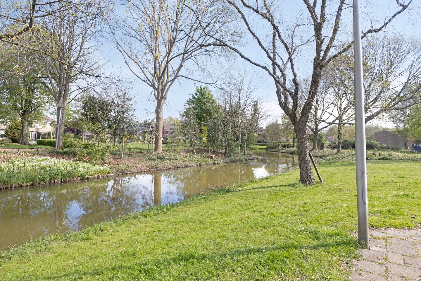 Foto 29 van Salamanderveen 341