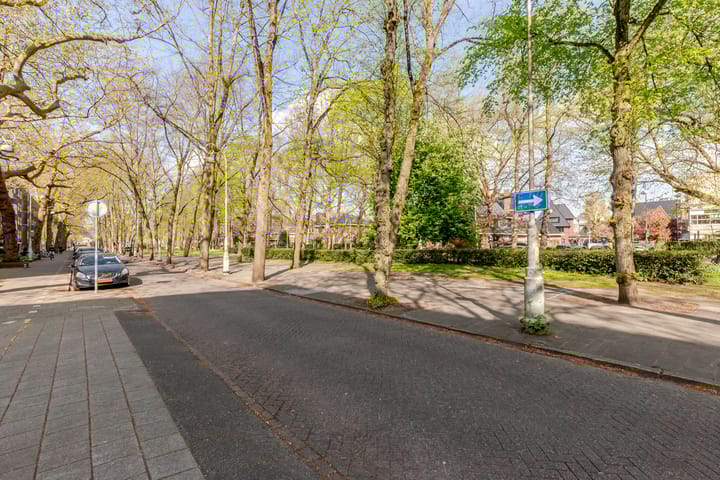 Foto 24 van Raphaëlstraat 8-2