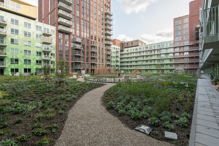 Foto 34 van Ananasweg 36