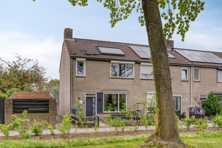 Foto 6 van Paukeslag 116