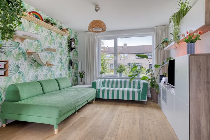 Foto 8 van Paukeslag 116