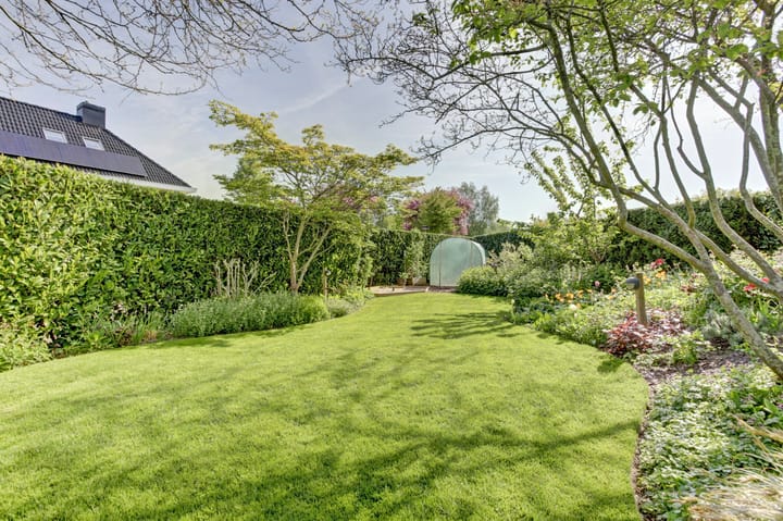 Foto 46 van Herfst 35