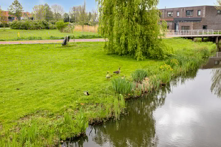 Foto 47 van Trinidadstraat 67