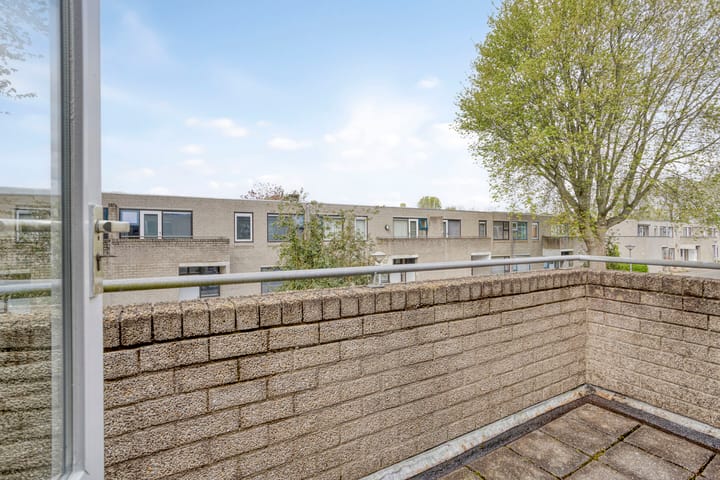 Foto 23 van Ossenweide 22