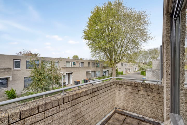 Foto 24 van Ossenweide 22