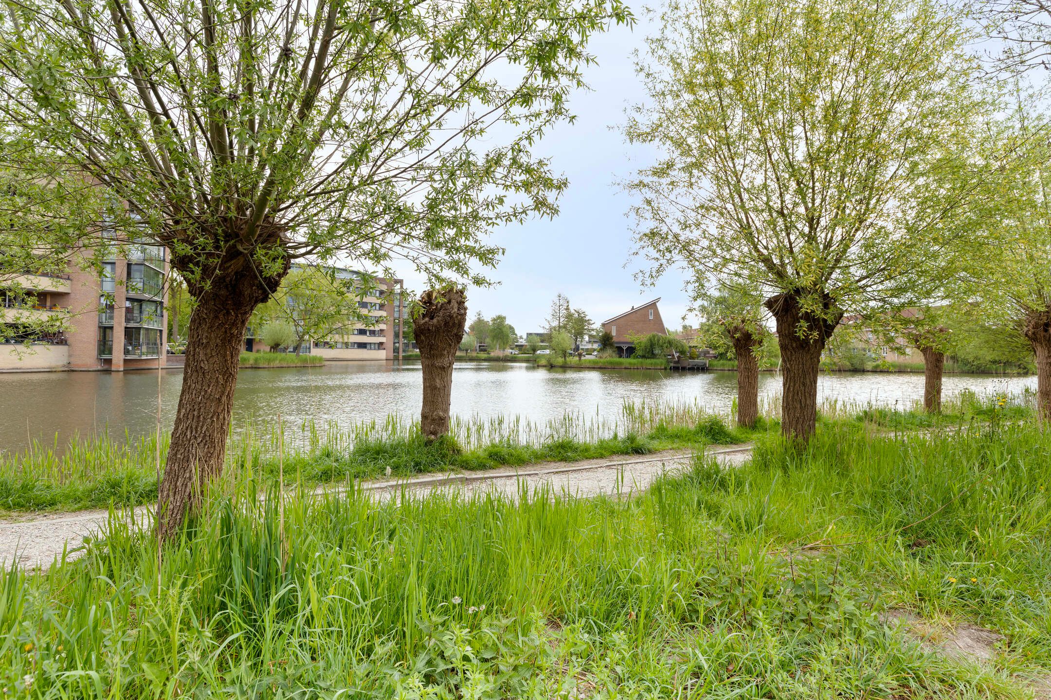Photo 3 of Schellingstraat 27