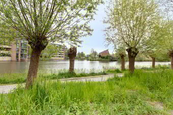 Schellingstraat 27 tertiary image
