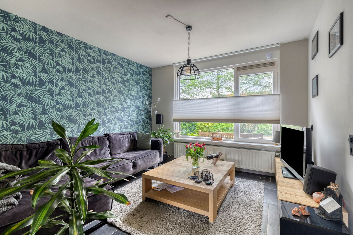 Foto 5 van Dierenriem 64