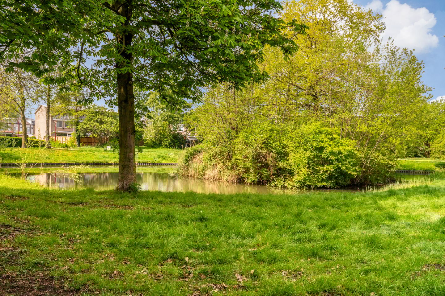 Foto 50 van Mr. J.M.M. Hamersstraat 83