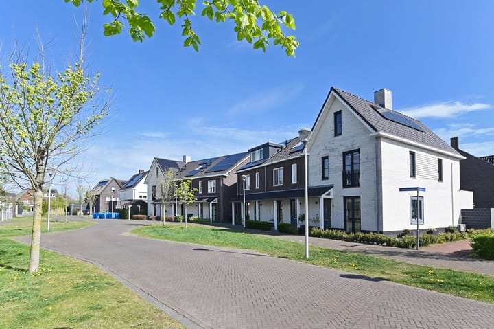 Photo 48 of Krekelzoom 11