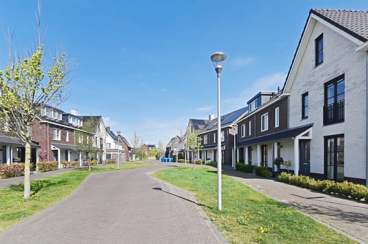 Photo 50 of Krekelzoom 11