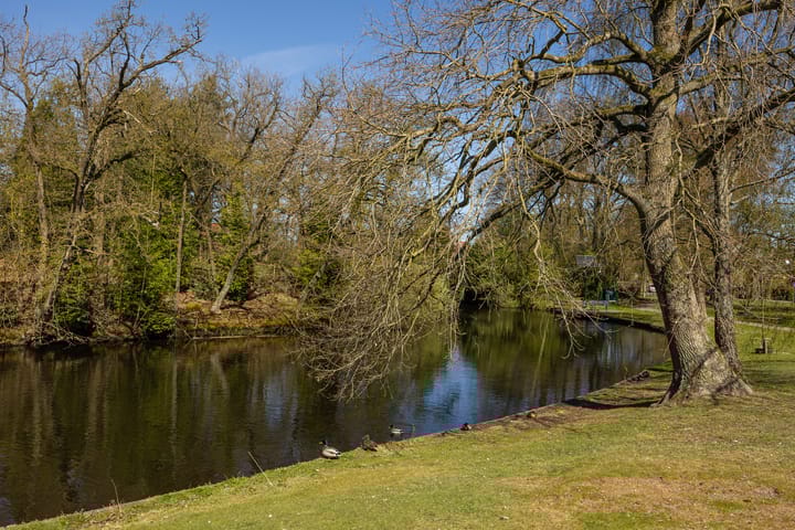 Foto 53 van Van Voorst tot Voorststraat 50