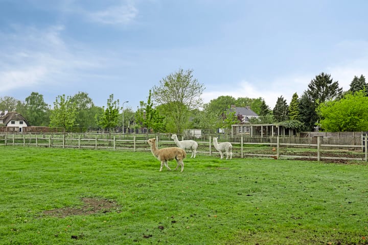 Foto 26 van Akkerweg 17