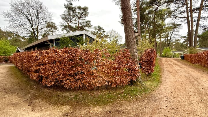 Foto 4 van Vijverlaan 1-HV12