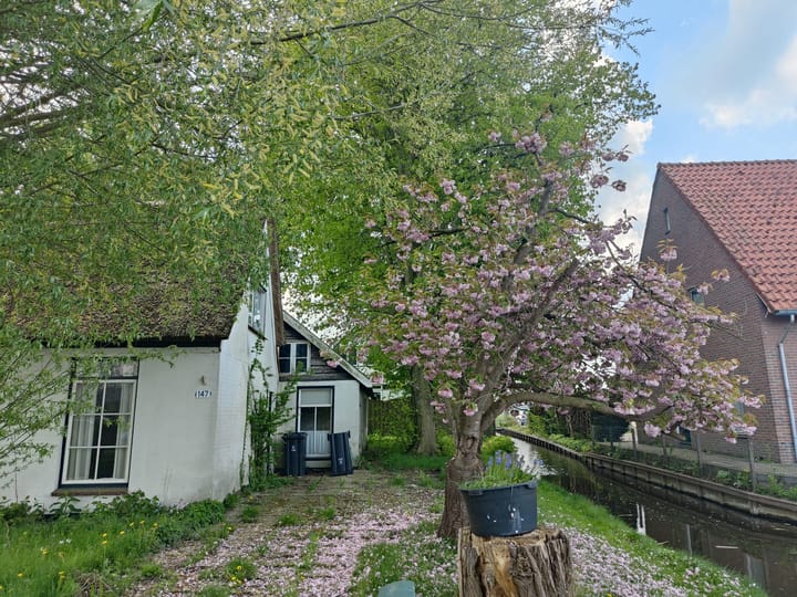 Photo 5 of Herenweg 147