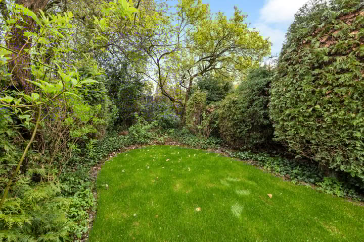 Foto 28 van Jupiter 4