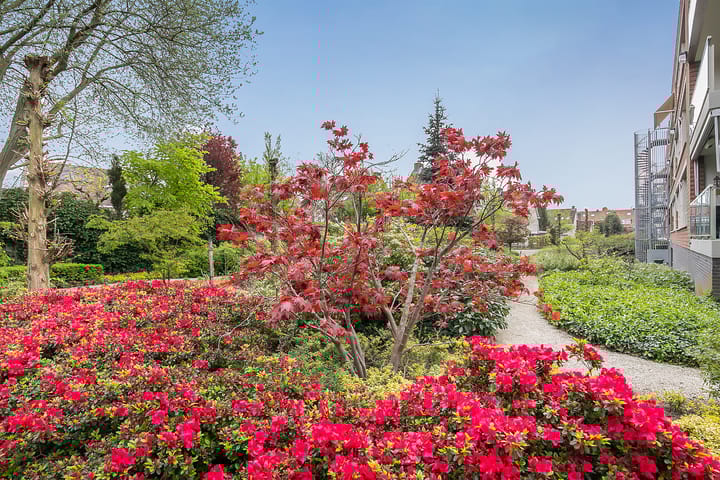 Foto 28 van Florastate 4