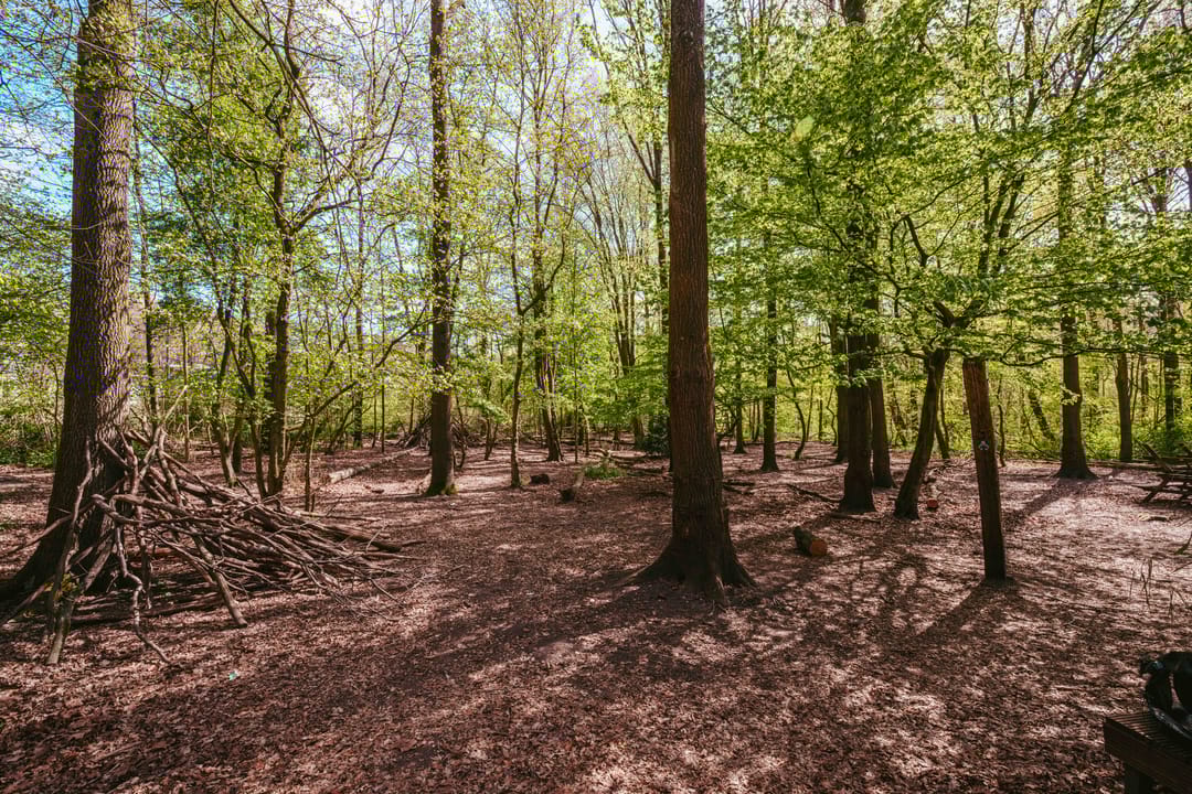 Photo 53 of Amstelveenseweg 916-A