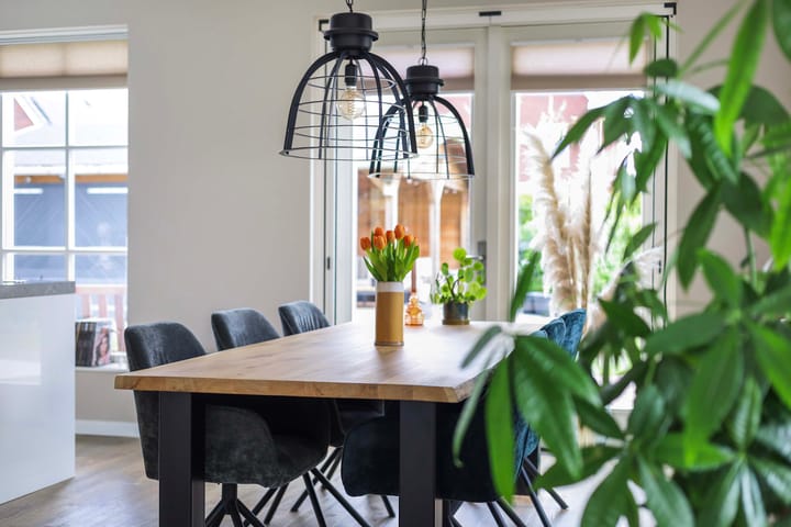 Foto 10 van Boommarter 59