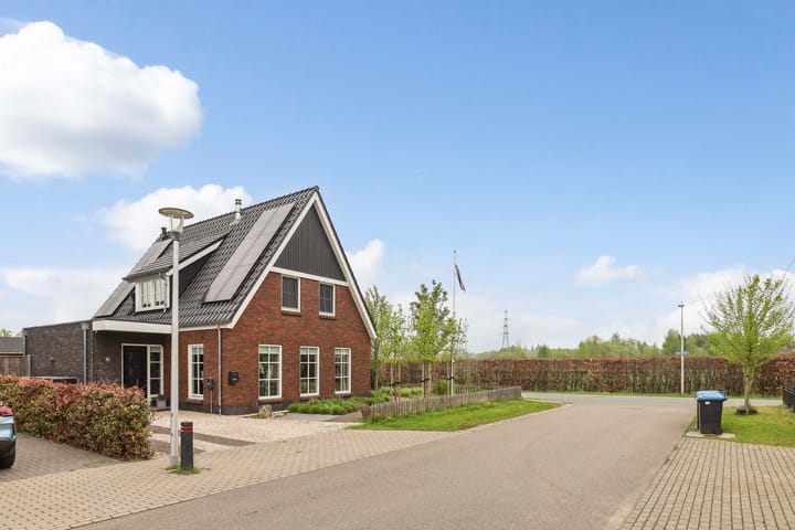 Foto 35 van Boommarter 59