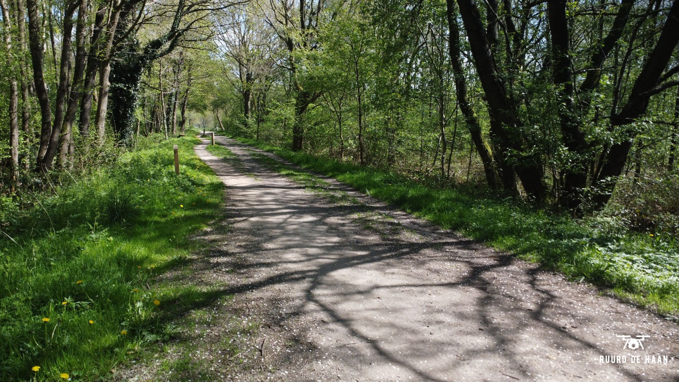 Photo 15 of Kolonieweg 16