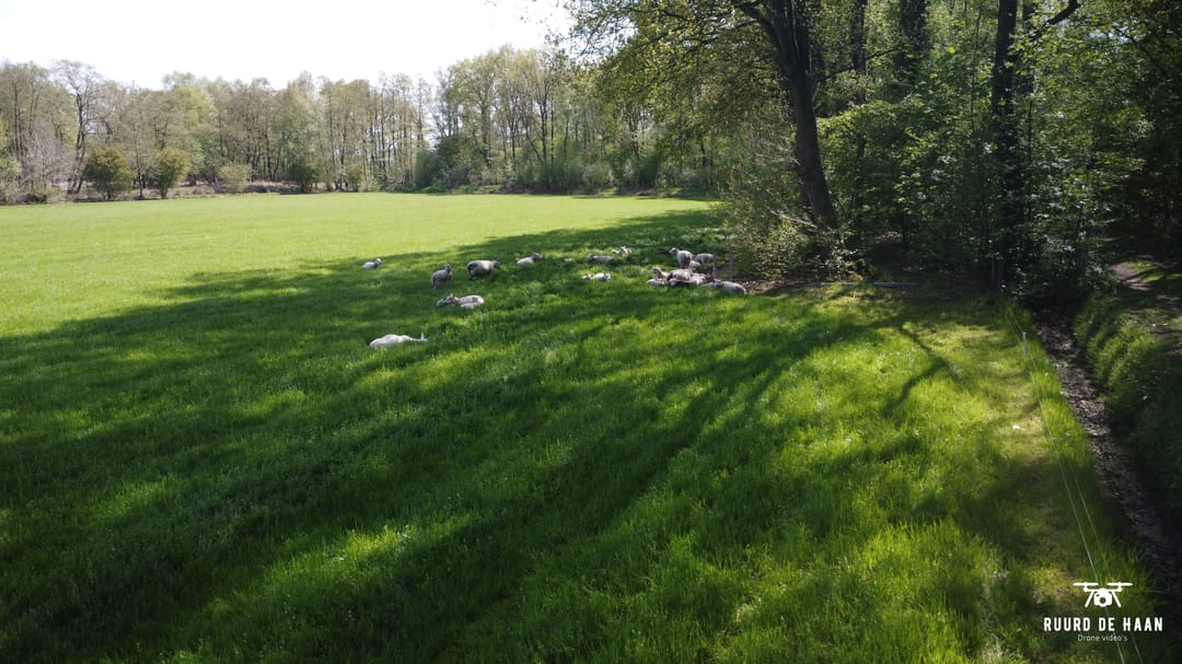 Photo 13 of Kolonieweg 16