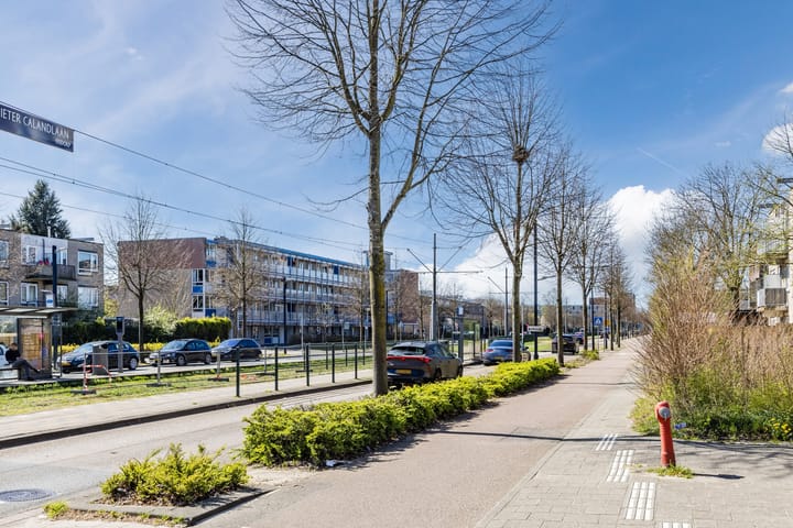 Foto 32 van Pieter Calandlaan 367