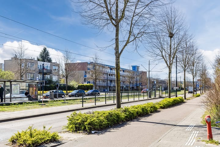 Foto 33 van Pieter Calandlaan 367