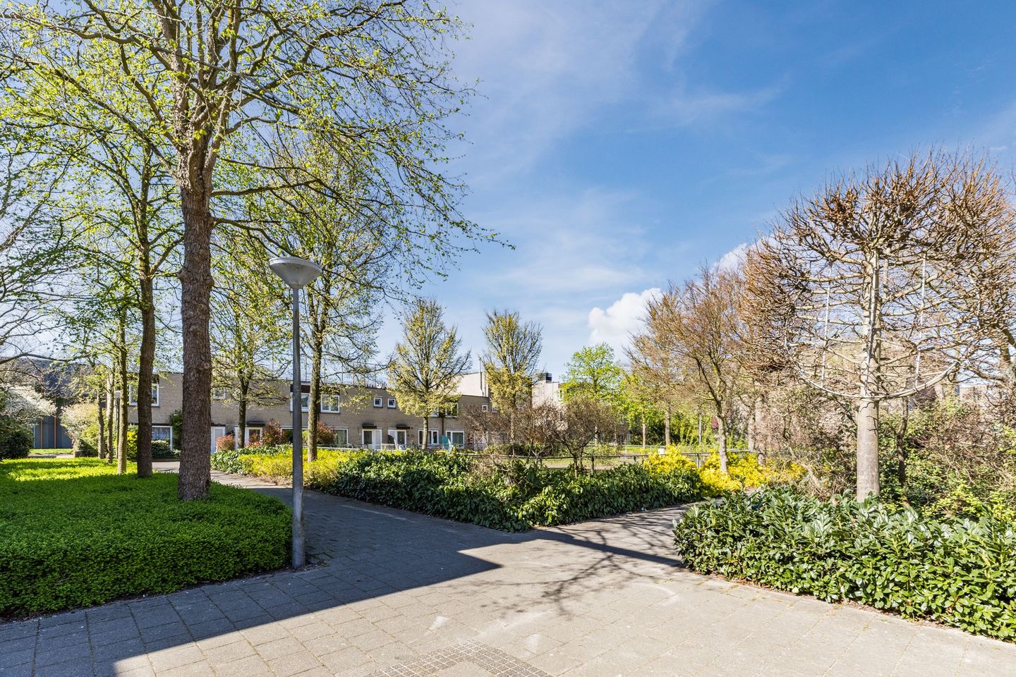 Foto 34 van Pieter Calandlaan 367