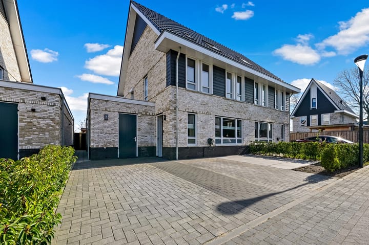 Foto 7 van Madelief 6