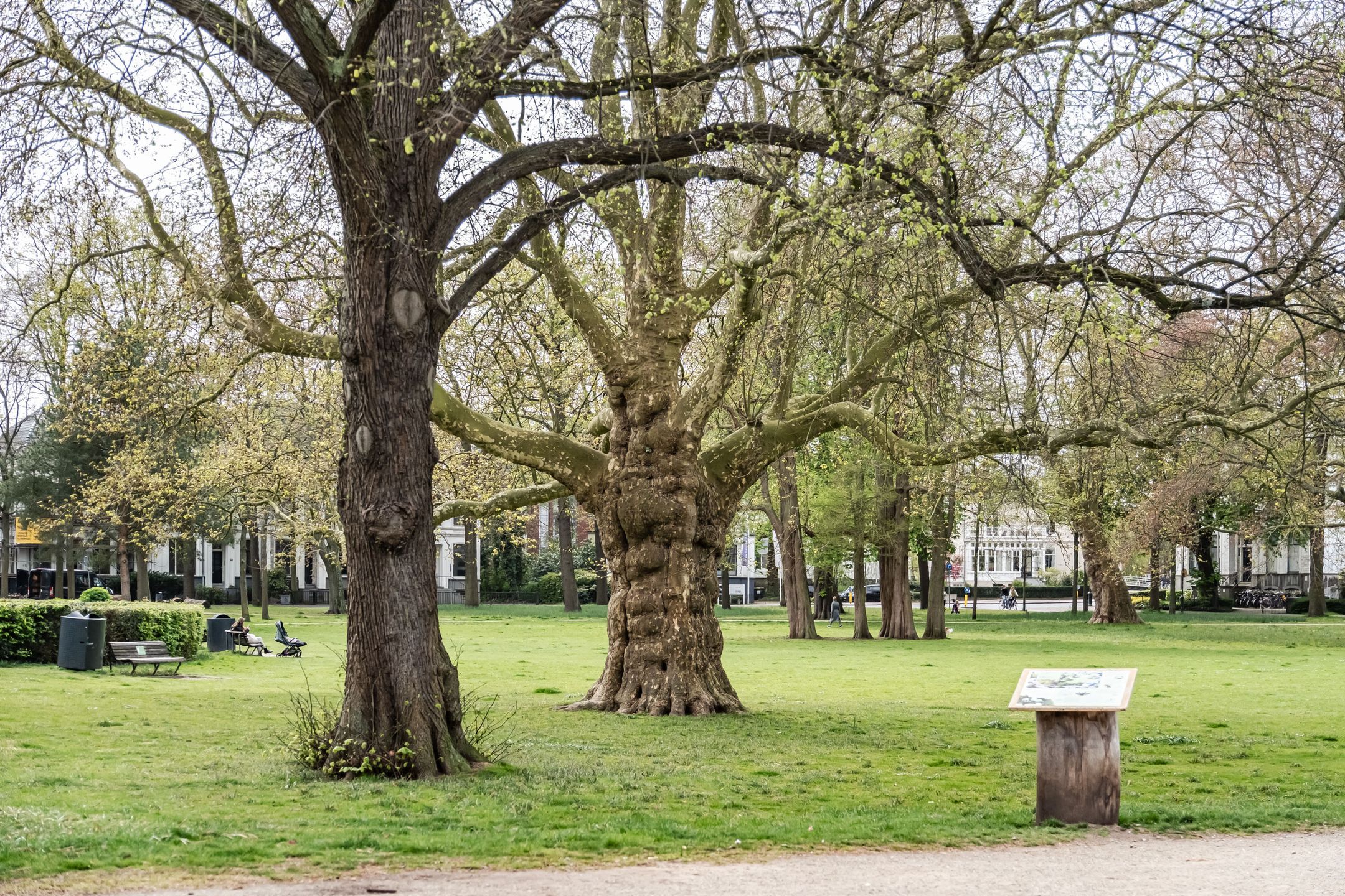 Foto 21 van Kenaustraat 8-E