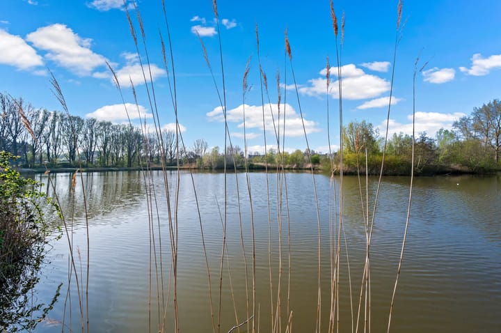 Foto 62 van Madelief 6