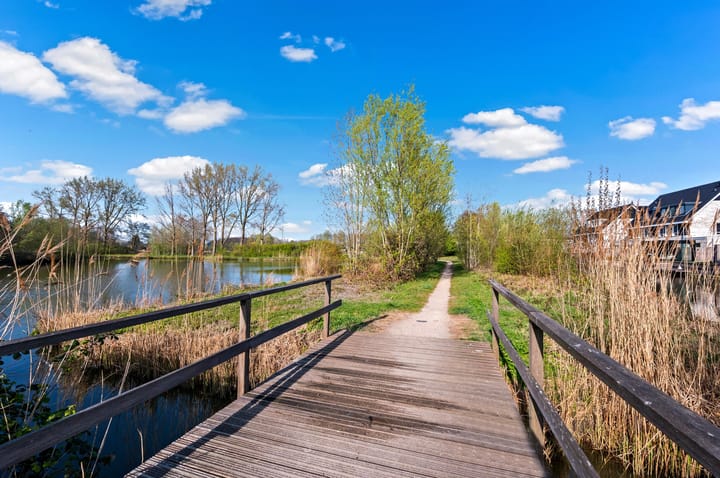 Foto 64 van Madelief 6