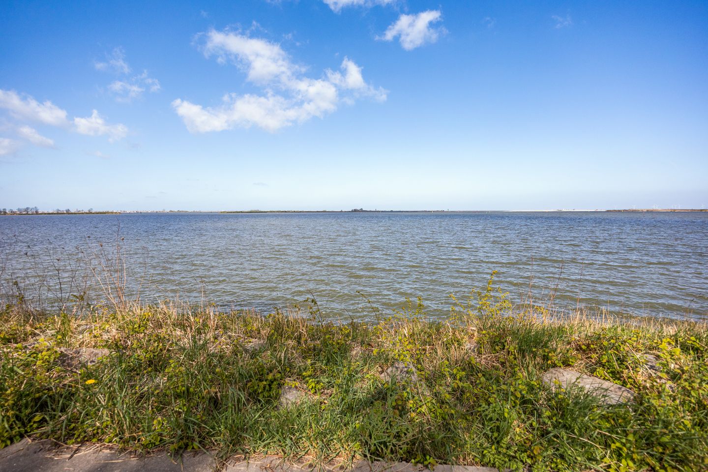 Foto 34 van Erich Salomonstraat 269