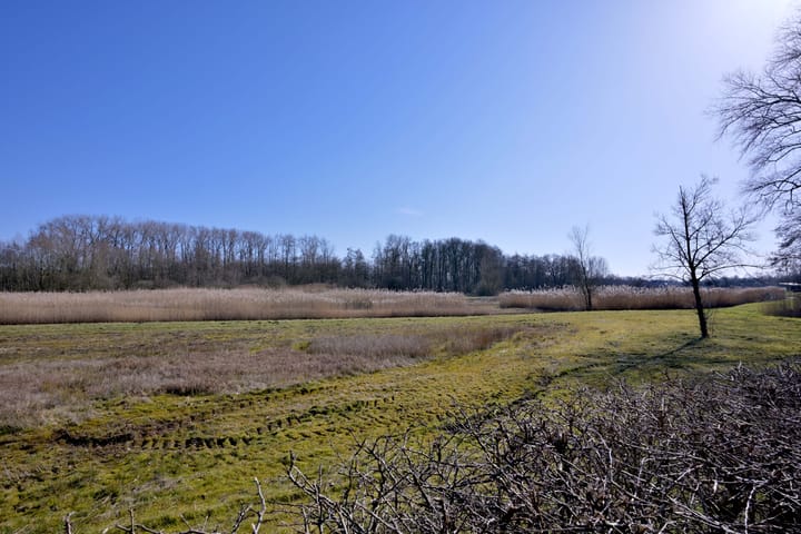 Photo 49 of Claes Jansz Visscherstraat 41