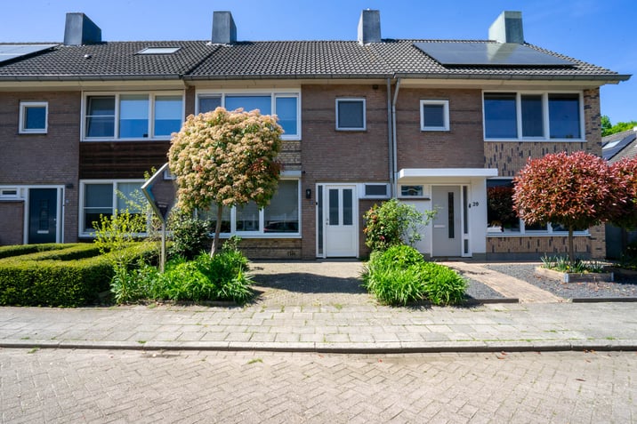 undefined main image