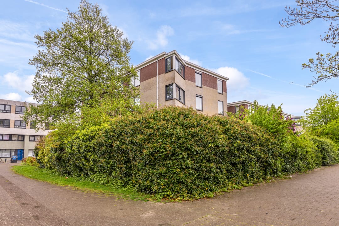 Foto 41 van Spijkerstraat 34