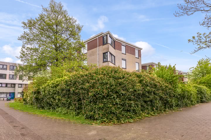 Photo 41 of Spijkerstraat 34